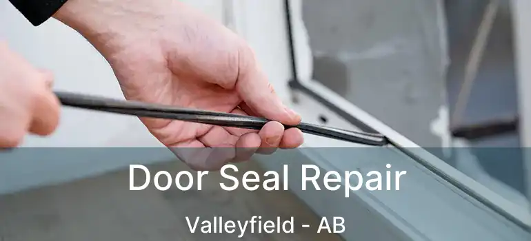 Door Seal Repair Valleyfield - AB