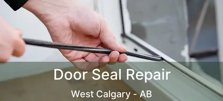  Door Seal Repair West Calgary - AB