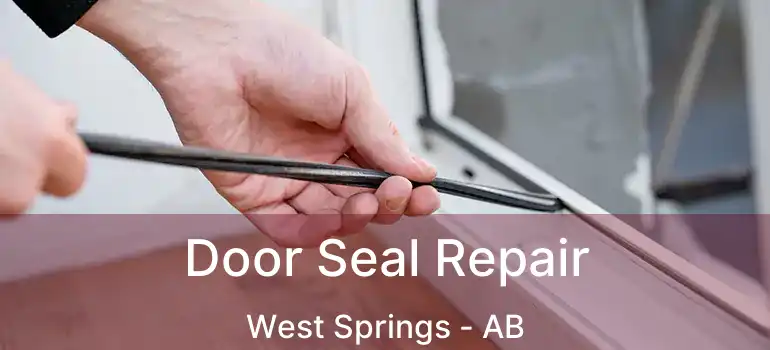  Door Seal Repair West Springs - AB