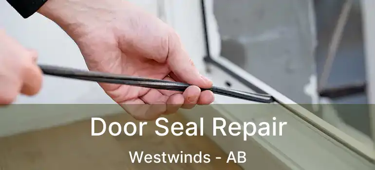  Door Seal Repair Westwinds - AB