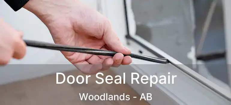  Door Seal Repair Woodlands - AB