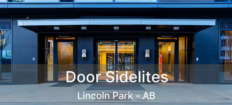  Door Sidelites Lincoln Park - AB