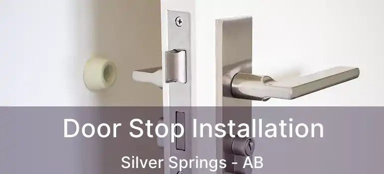  Door Stop Installation Silver Springs - AB