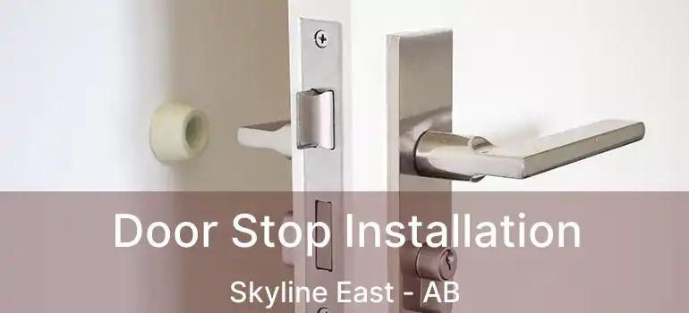  Door Stop Installation Skyline East - AB
