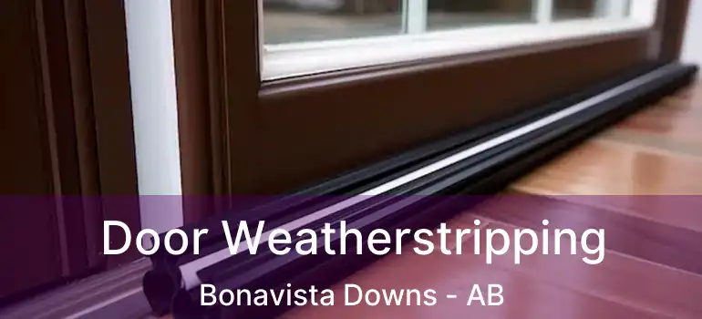  Door Weatherstripping Bonavista Downs - AB