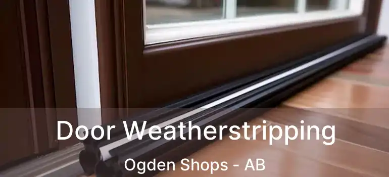  Door Weatherstripping Ogden Shops - AB