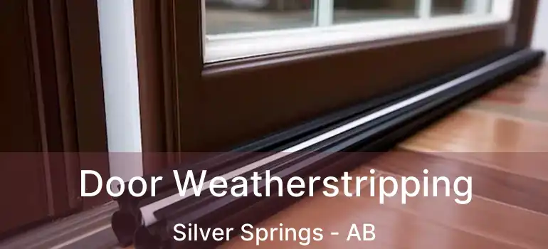  Door Weatherstripping Silver Springs - AB