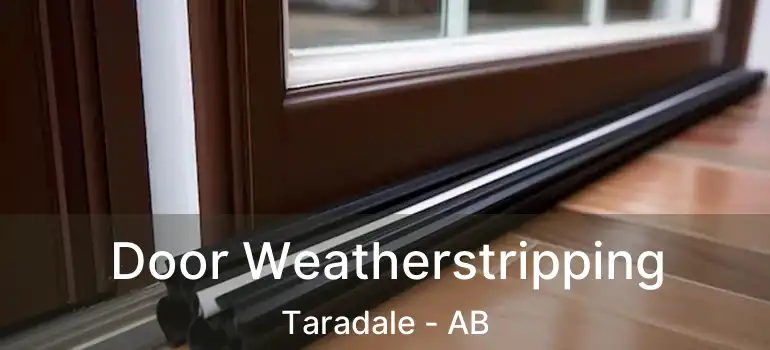  Door Weatherstripping Taradale - AB
