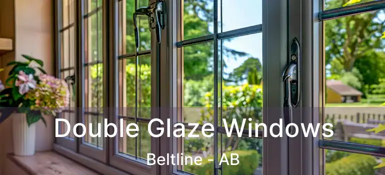 Double Glaze Windows Beltline - AB