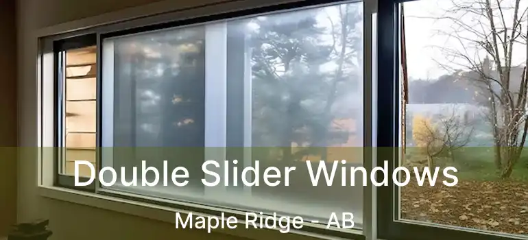  Double Slider Windows Maple Ridge - AB