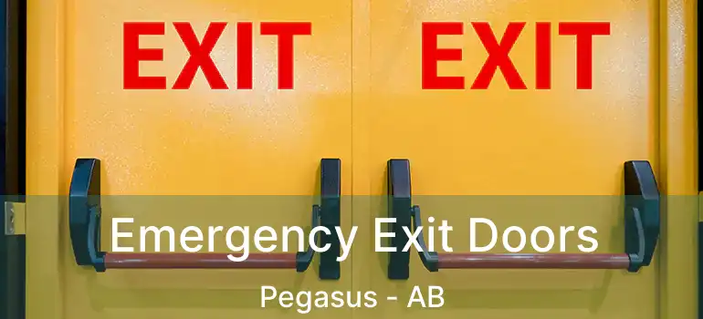  Emergency Exit Doors Pegasus - AB