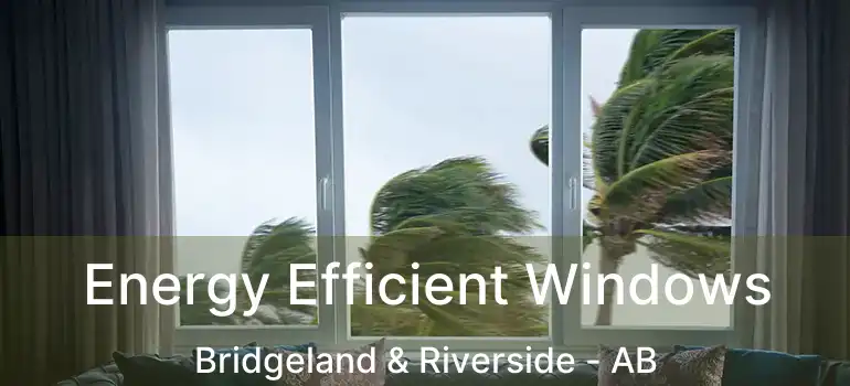  Energy Efficient Windows Bridgeland & Riverside - AB