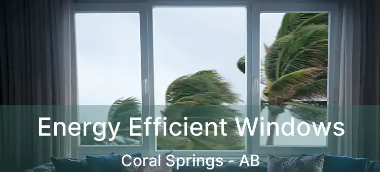  Energy Efficient Windows Coral Springs - AB