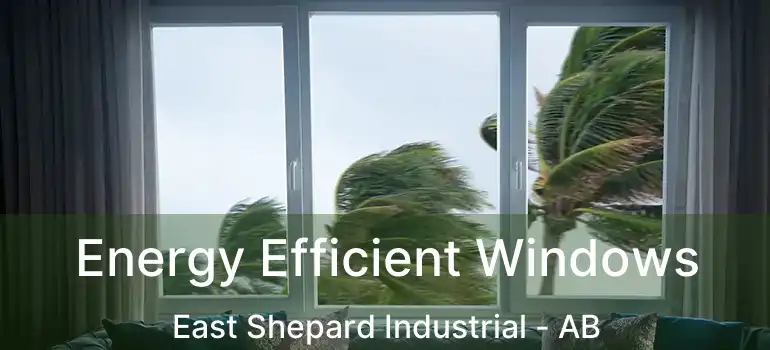 Energy Efficient Windows East Shepard Industrial - AB