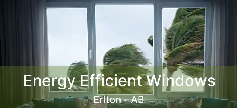  Energy Efficient Windows Erlton - AB