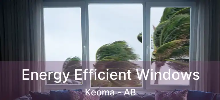  Energy Efficient Windows Keoma - AB