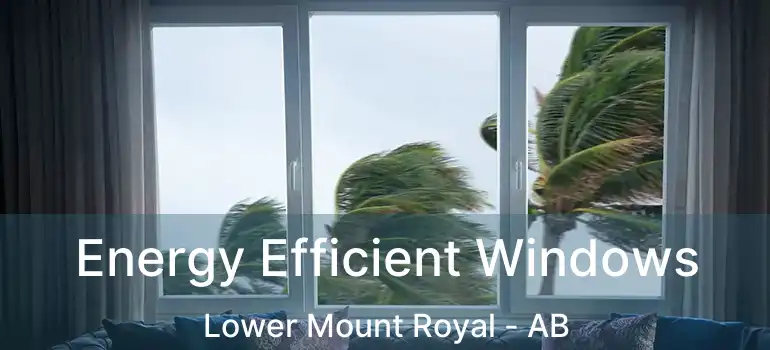  Energy Efficient Windows Lower Mount Royal - AB