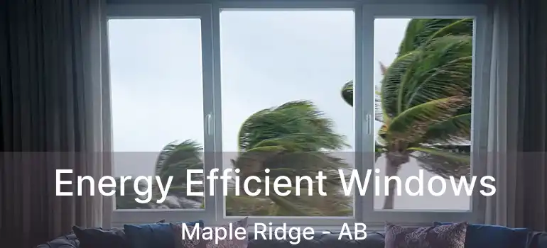  Energy Efficient Windows Maple Ridge - AB