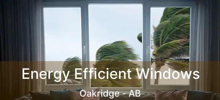  Energy Efficient Windows Oakridge - AB