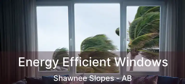  Energy Efficient Windows Shawnee Slopes - AB