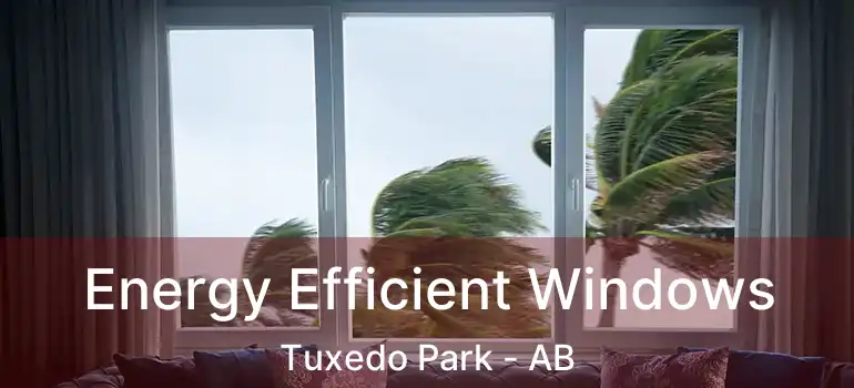  Energy Efficient Windows Tuxedo Park - AB