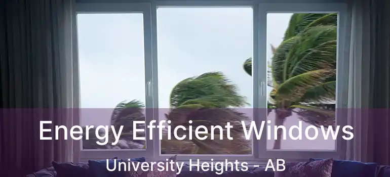  Energy Efficient Windows University Heights - AB