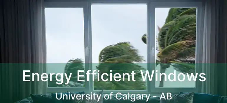  Energy Efficient Windows University of Calgary - AB