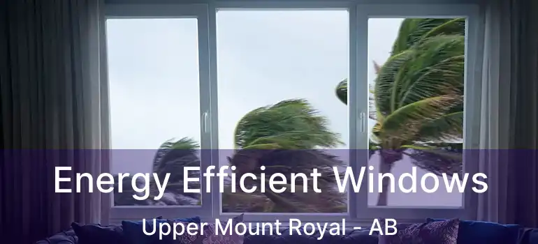  Energy Efficient Windows Upper Mount Royal - AB