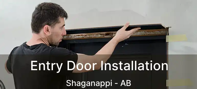  Entry Door Installation Shaganappi - AB
