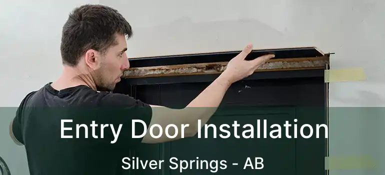  Entry Door Installation Silver Springs - AB
