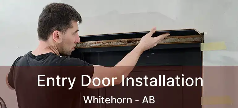  Entry Door Installation Whitehorn - AB