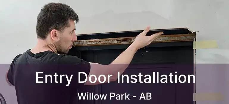  Entry Door Installation Willow Park - AB