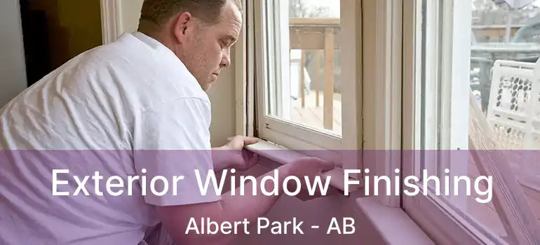  Exterior Window Finishing Albert Park - AB