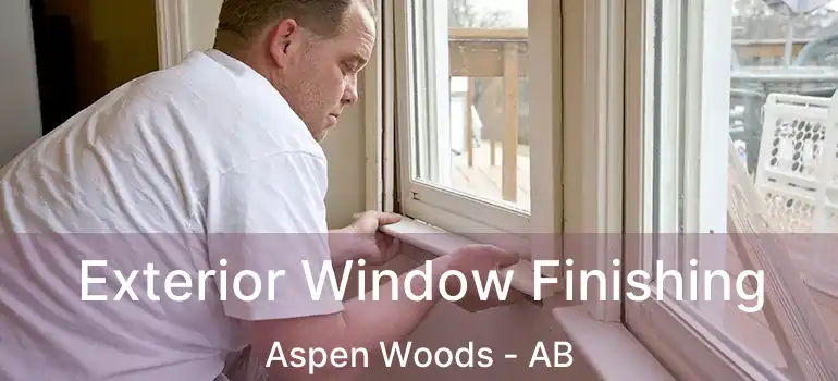  Exterior Window Finishing Aspen Woods - AB