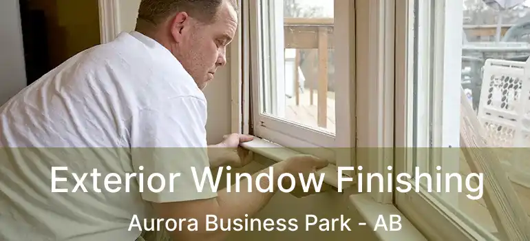  Exterior Window Finishing Aurora Business Park - AB