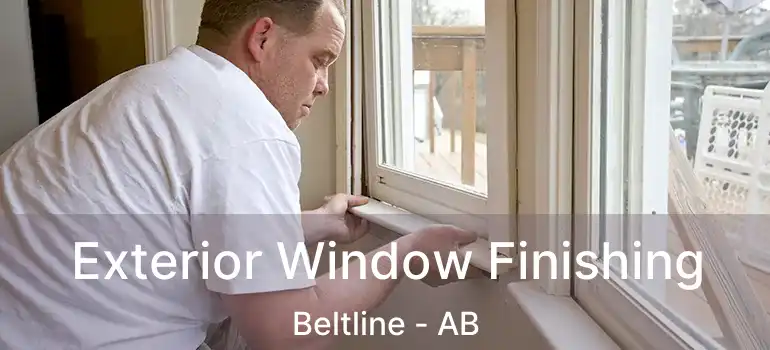  Exterior Window Finishing Beltline - AB