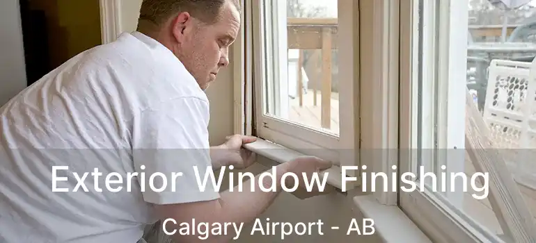 Exterior Window Finishing Calgary Airport - AB