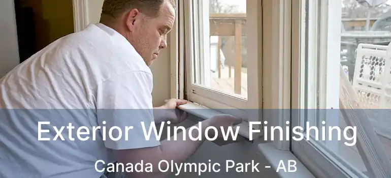  Exterior Window Finishing Canada Olympic Park - AB