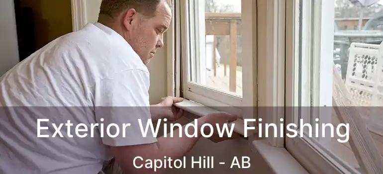  Exterior Window Finishing Capitol Hill - AB