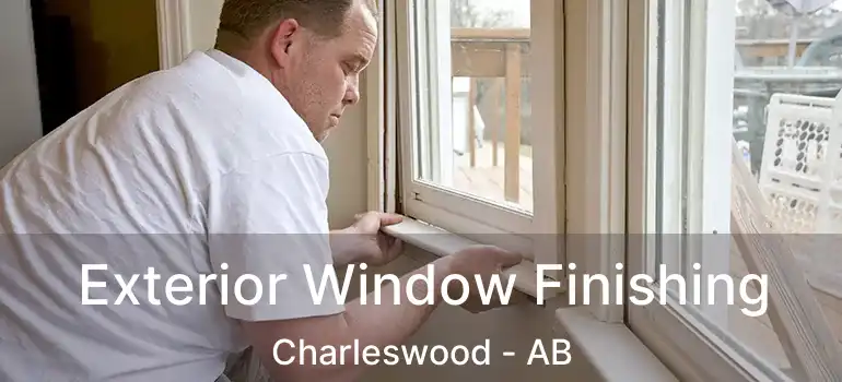  Exterior Window Finishing Charleswood - AB
