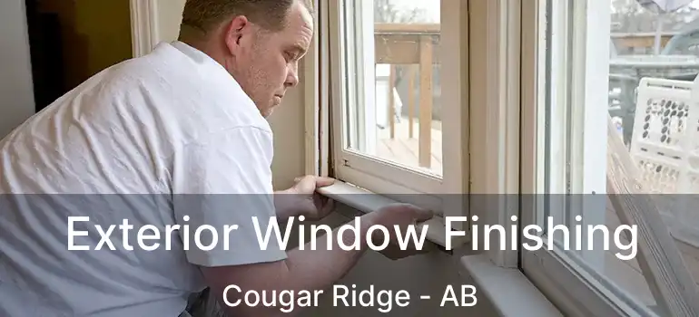  Exterior Window Finishing Cougar Ridge - AB