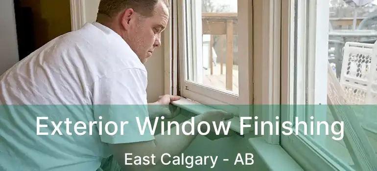  Exterior Window Finishing East Calgary - AB