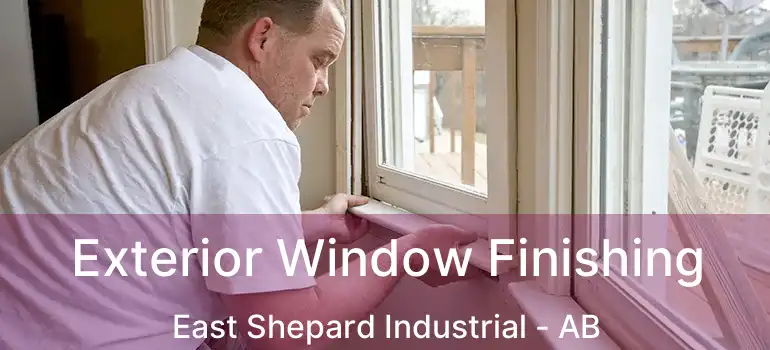  Exterior Window Finishing East Shepard Industrial - AB