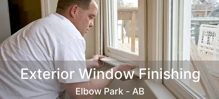  Exterior Window Finishing Elbow Park - AB