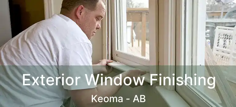  Exterior Window Finishing Keoma - AB