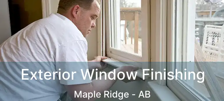 Exterior Window Finishing Maple Ridge - AB