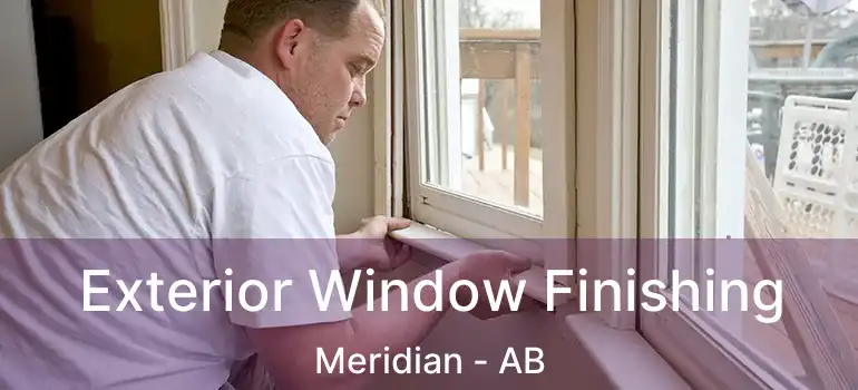  Exterior Window Finishing Meridian - AB