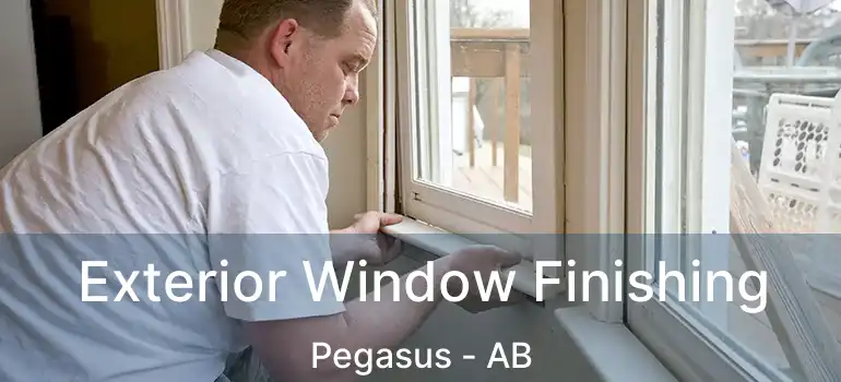  Exterior Window Finishing Pegasus - AB