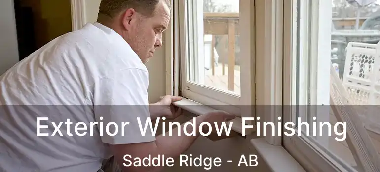  Exterior Window Finishing Saddle Ridge - AB