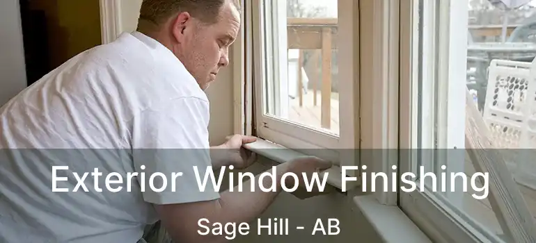  Exterior Window Finishing Sage Hill - AB